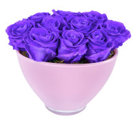 Violet Vain In Pink Vase